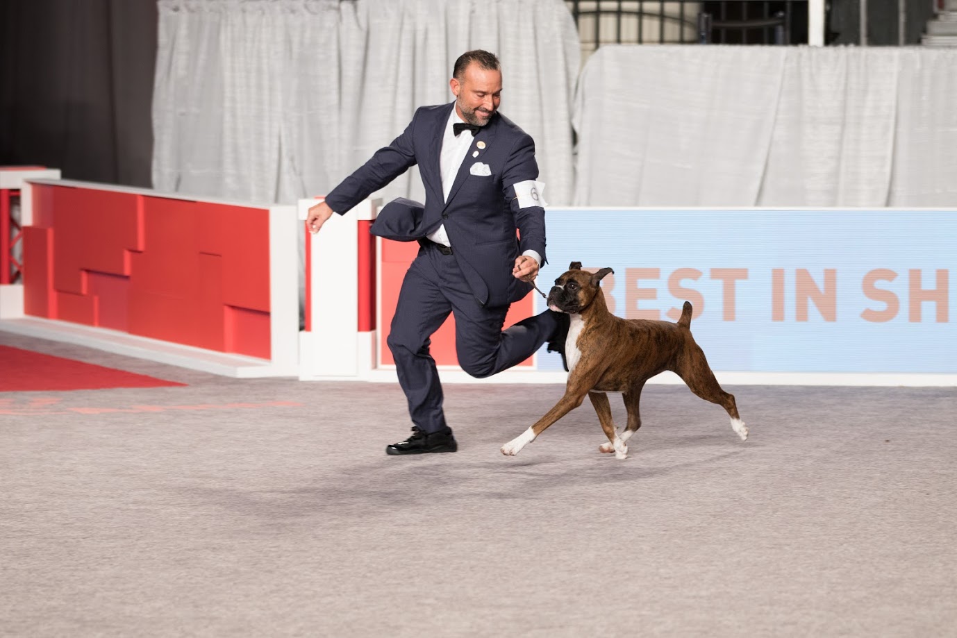 AKC National Championship Dog Show Presented by Royal Canin to Air on