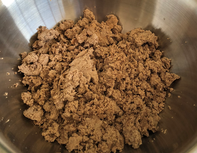 Wild Earth Introduces Treats From Koji Protein | Pet Age