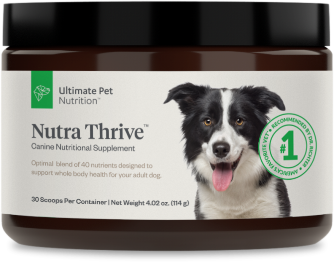 nutra thrive dog supplement