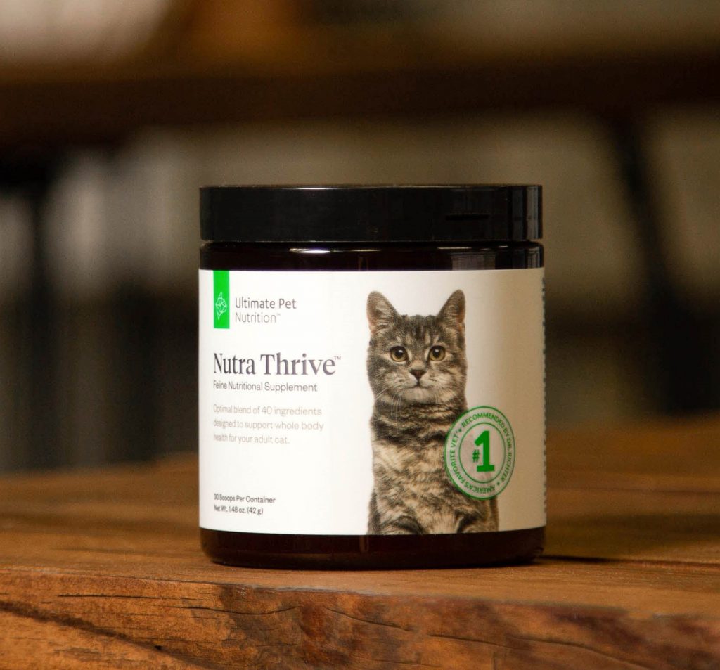 cat nutra thrive