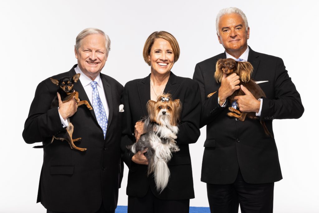 2022 National Dog Show Hosts, Competitors Get Their Game Face On