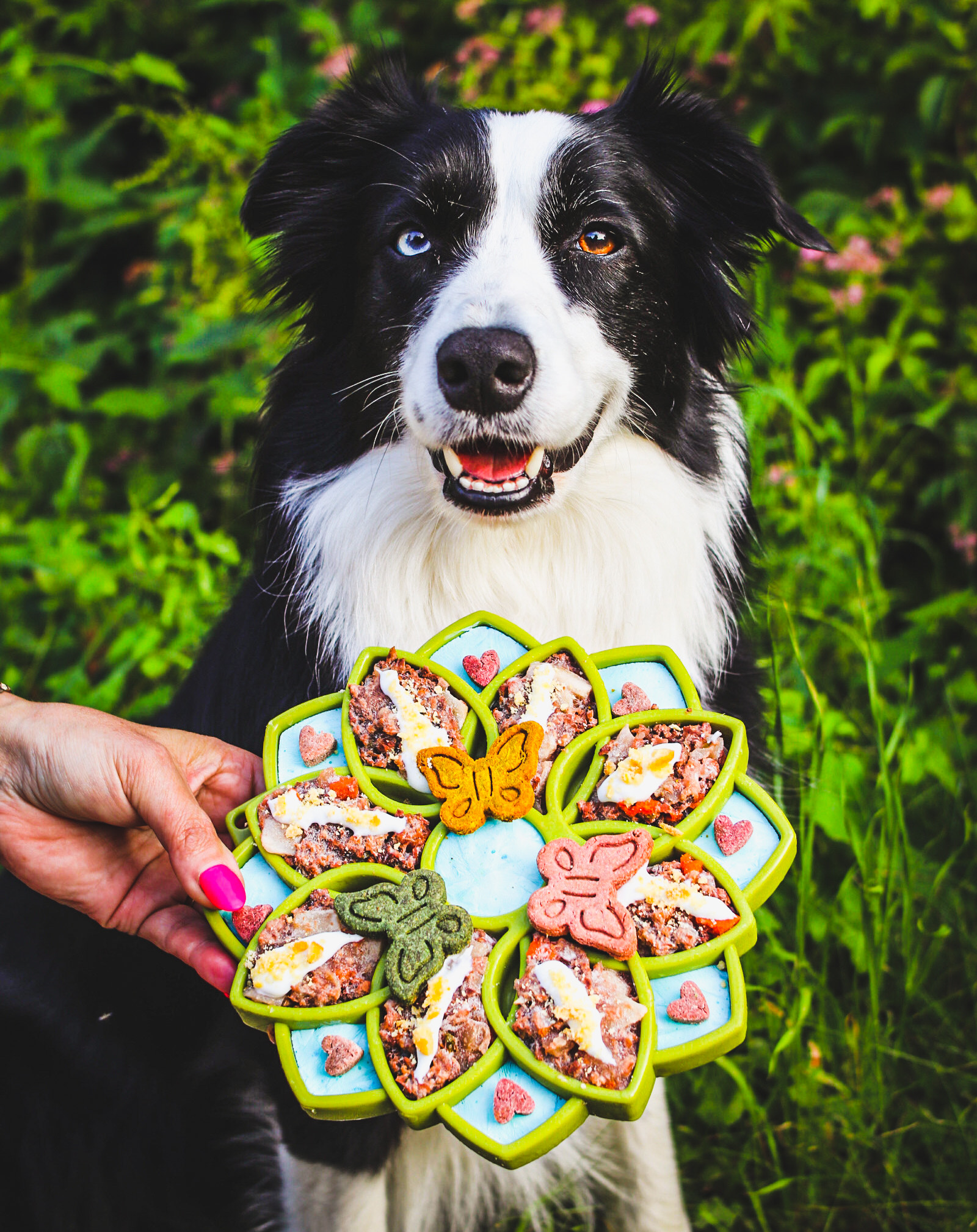 PUZZLE FEEDER - A Eating Habit Changing Device for Your Dog by