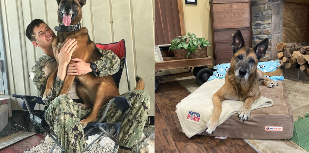 Dog Bed Maker Big Barker Partners with Paws of Honor to Mark National